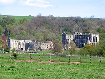 Rievaulx Abbey